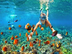 Full-Day Cruise at Great Barrier Reef with Chef Lunch and Snorkeling